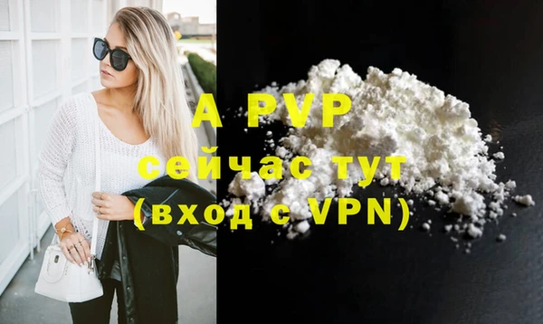 индика Апатиты