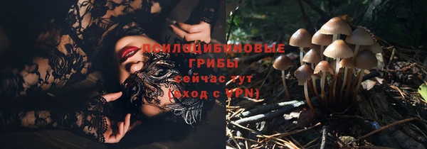 кокс Михайловск